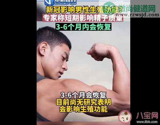 新冠短期内影响男性生殖功能是真的吗 男性的生殖功能受哪些因素影响