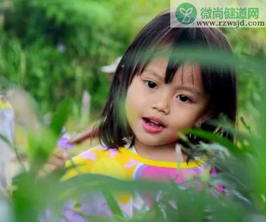 孩子上幼儿园关注学习吗 小孩上幼儿园能学到多少知识