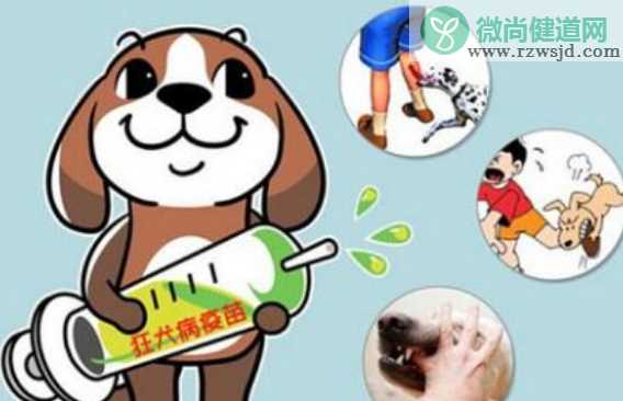 接种长春长生狂犬病疫苗怎么续种 怎么看是长春长生的狂犬病疫苗