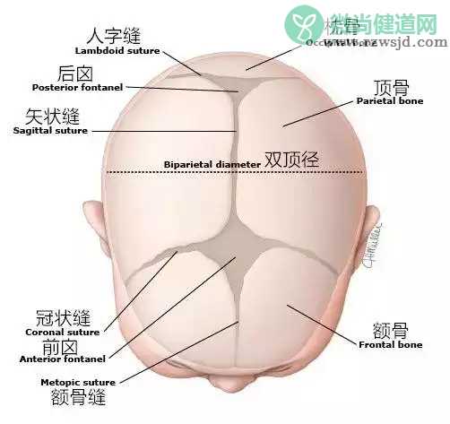 孩子囟门抠了会变傻吗 宝宝