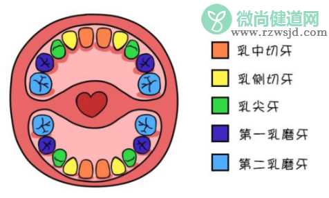 宝宝长牙怎么护理      宝宝