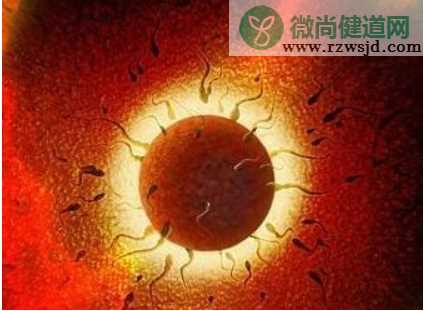 男性精子里带血是怎么回事 精液里带血应该怎么治疗