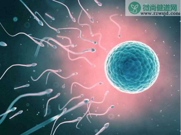 男性精子成熟要多久 多久排一次精子最好