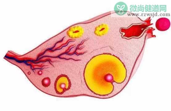 受精卵着床出血几天 受精卵