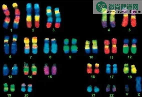 2019年2月23日受孕生男生女 