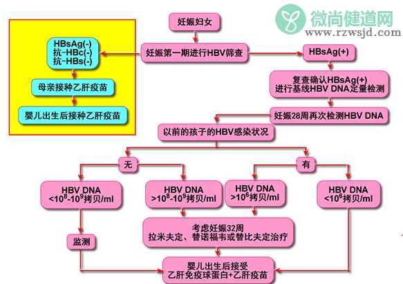 怀孕前有必要打乙肝疫苗吗 打乙肝疫苗多久可以要小孩