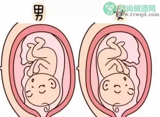  2019年5月9日怀孕生男生女怎么看 农历四月初五怀孕是男孩还是女孩