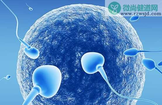 男性的精子能在女性体内存活多久 精子和卵子需要多