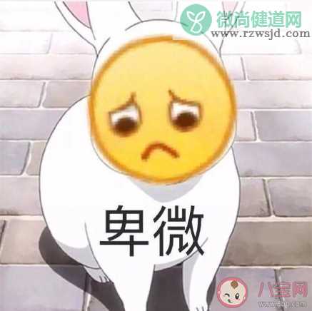 最容易被亲戚误解的专业是什么 如何对亲戚解释自己的专业