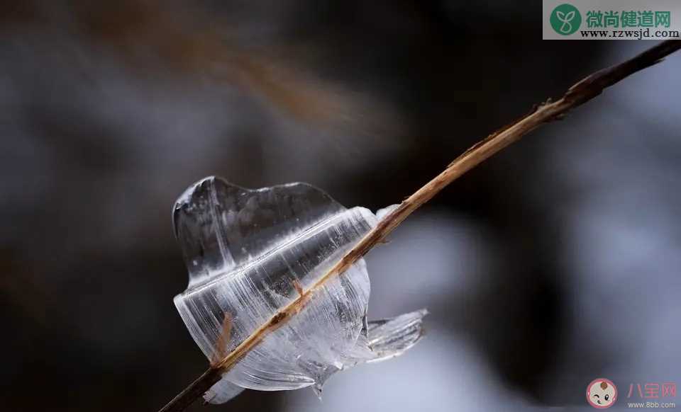 山西侯马冰蝴蝶是怎么形成的 山西侯马冰蝴蝶是什么