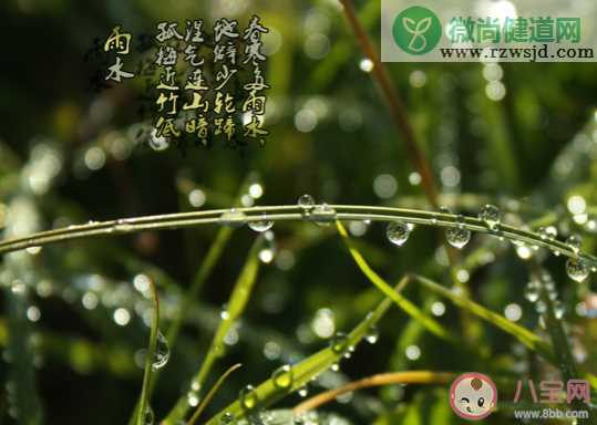 2020雨水节气有意境的古诗词大全 关于雨水节气的古诗合集