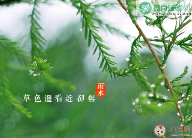 2020雨水节气的图片朋友圈配文说说 雨水节气好看的图片文案句子大全