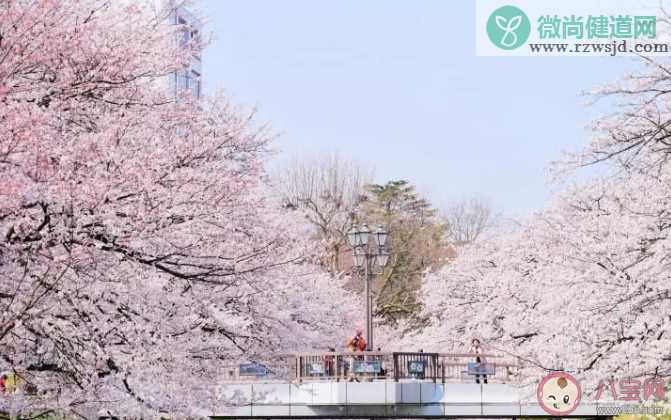 山川异域风月同天是什么意思 山川异域风月同天的出处