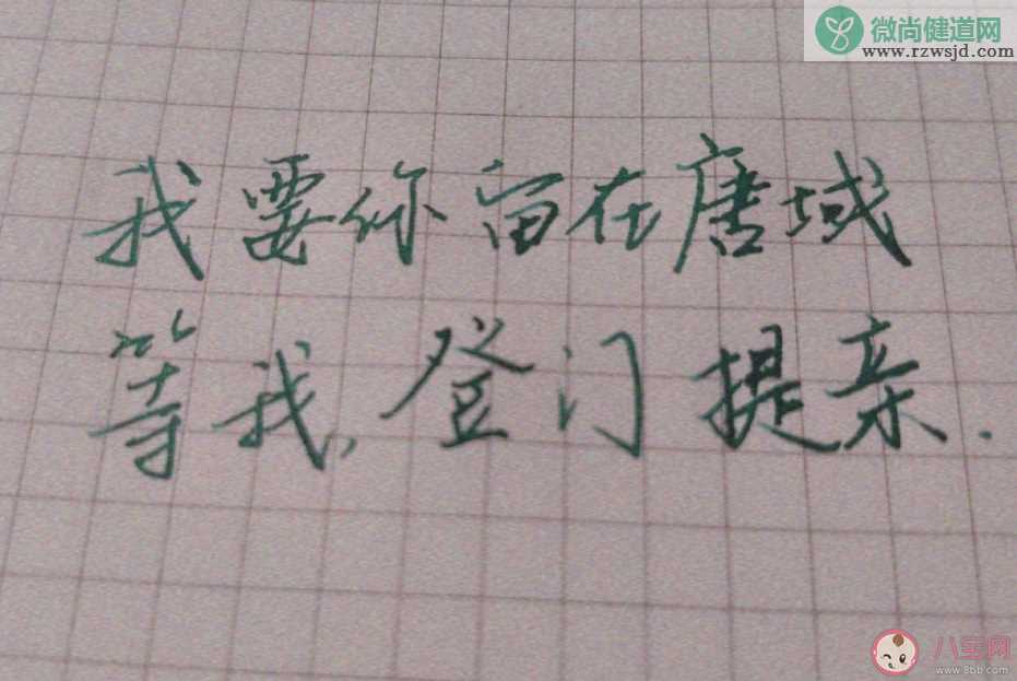 大主宰经典情话大全 《大主