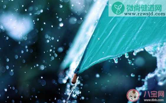 今天是雨水节气的短句  2020