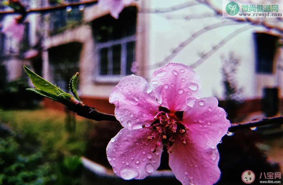 嘀嗒嘀嗒下雨了说说 下雨了说说心情短语