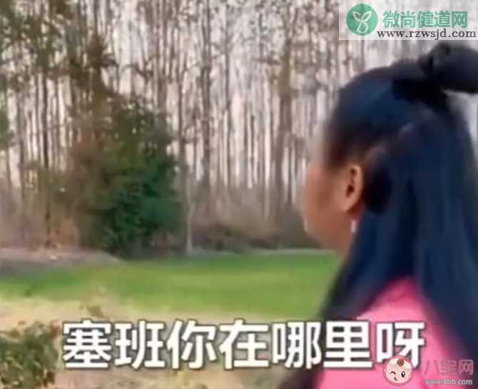 找塞班是什么意思 找塞班梗的出处是什么