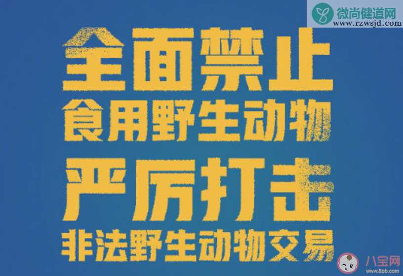 湖北全面禁止食用野生动物是真的吗 湖北全面禁止食