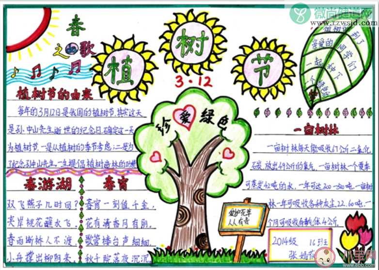 2020植树节好看简单的手抄报图片大全 小学生植树节