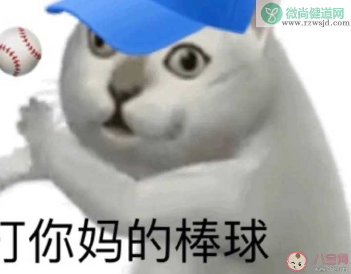 mur猫的出处是什么 奇怪的知识增加出处是什么