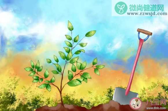 植树节为什么要种树 2020植树节的来历是什么