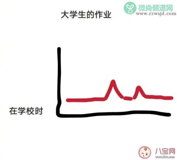 在学校时和上网课时的作业量有什么区别 在学校时VS上网课时作业量区别对比