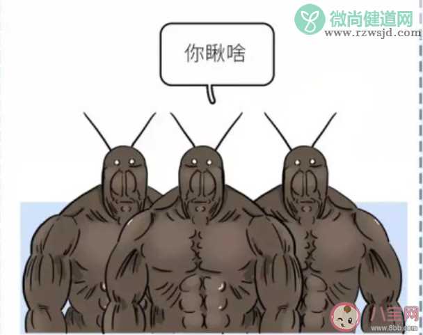 北方人到南方上大学的体验 北方人到南方上大学是什