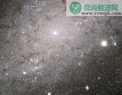 生日那天的宇宙怎么查 查看生日那天的宇宙入口地址