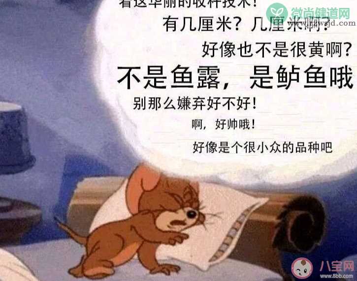 不是鱼露是鲈鱼哦是什么梗  不是鱼露是鲈鱼哦梗的出