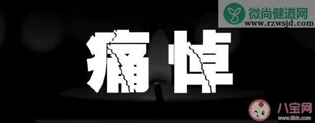 2020哀悼逝去英雄的朋友圈说说 悼念逝去英雄的朋友圈句子