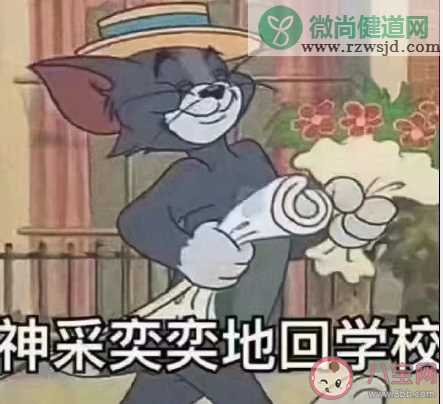 当你收到快开学的通知是什么