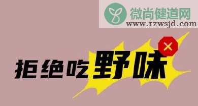 敬畏自然拒绝野味400字作文 小学生拒绝野味倡议书