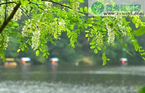 关于谷雨的古诗词有哪些 谷雨节气古诗大全