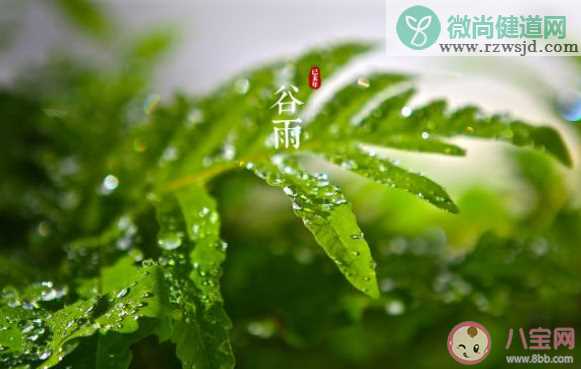 谷雨节气致自己的个性说说文案2020 谷雨节气写给自己的语录说说