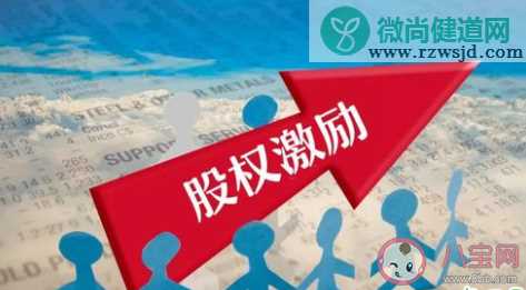 公司给的股票期权可以赚钱吗  获得公司的股票期权有什么用