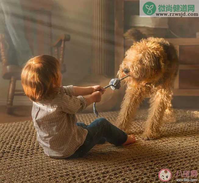 孩子为什么越管教越不听话 孩子越管越不听话怎么办