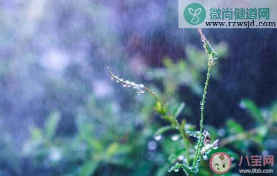 问候下雨天早安的简短句子 早安下雨天问候语