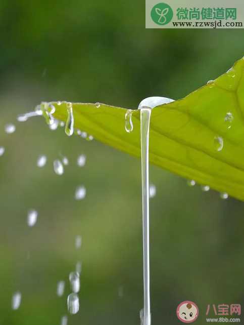 适合梅雨季节发的朋友圈文案 梅雨季节发朋友圈文案