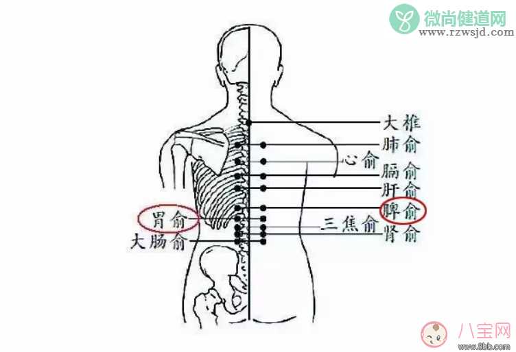 孩子脾胃不好如何推拿   宝宝脾胃虚弱推拿手法