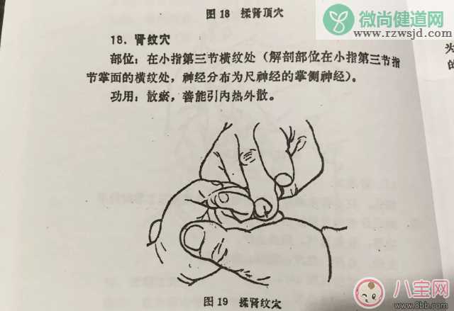 小儿推拿肾纹穴在哪 小儿推拿揉肾纹穴能治疗鹅口疮吗