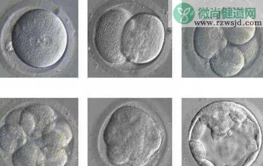 试管婴儿形成胚胎失败是什么原因2018 反复胚胎种植失败怎么办