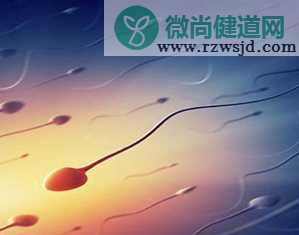 如何改善精子质量 吃什么可以改善精子质量