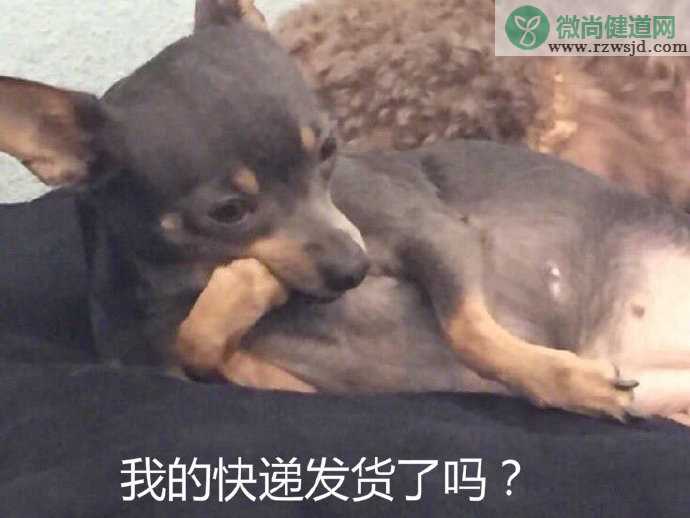 等快递的表情包 双十一之后等快递的说说句子