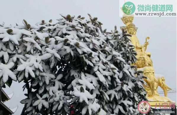 峨眉山下雪了的朋友圈说说 欣赏峨眉山雪景的说说句子