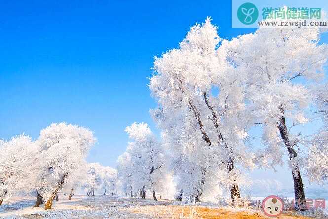 冬天看雾凇朋友圈怎么发 看雾凇景观的朋友圈说说