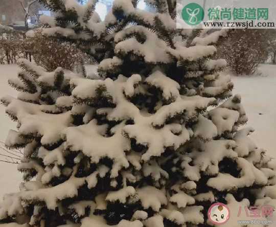 2019朋友圈下雪堆雪人心情说说 堆雪人晒朋友圈感言