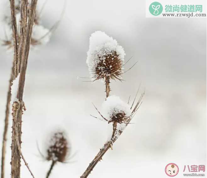 越来越冷的朋友圈说说 越来越冷的朋友圈句子