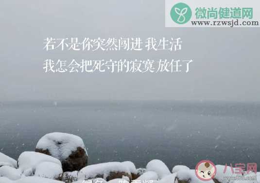 2019大雪到了简单的文案说说