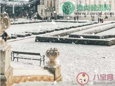 又是一年大雪节气的微信文案