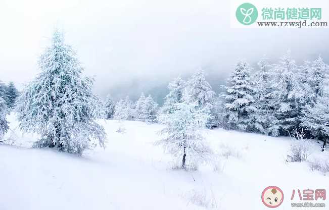 下雪了怎么发朋友圈 下雪天发朋友圈的句子